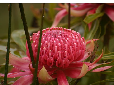 Vortex Healing Centre - Accommodation Nelson Bay 2