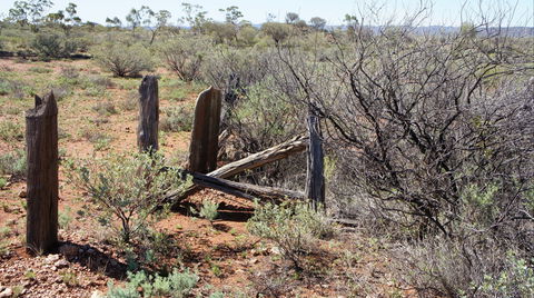 Winnecke Goldfield Cemetery - Accommodation Nelson Bay 2