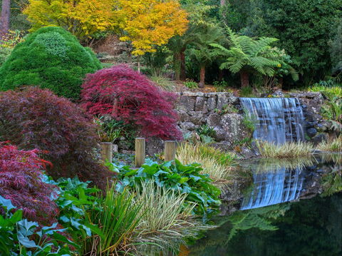 Windyridge Garden Mount Wilson - Accommodation Nelson Bay 2