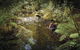 Arthur River - thumb 1