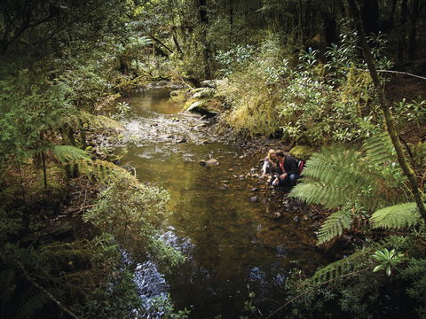 Arthur River - Accommodation Nelson Bay 1