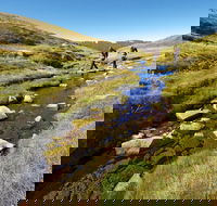 Australian Alps Walking Track - Accommodation Nelson Bay