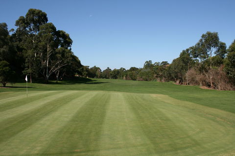 Bardwell Valley Golf Club Ltd - Accommodation Nelson Bay 2