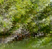 Berry Springs Nature Park - Accommodation Nelson Bay