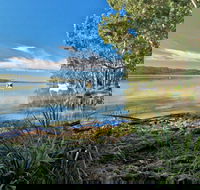 Black Oaks Picnic Area - Accommodation Nelson Bay