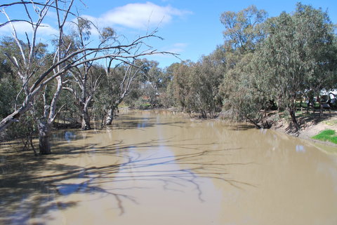 Bush Tucker Trail - Accommodation Nelson Bay 0