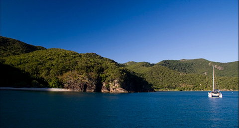 Butterfly Bay - Hook Island - Accommodation Nelson Bay 0