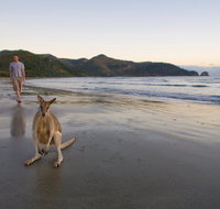 Cape Hillsborough National Park - Accommodation Nelson Bay