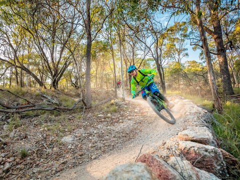 Castle Hill Blackstone Reserve - Accommodation Nelson Bay 0