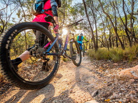 Castle Hill Blackstone Reserve - Accommodation Nelson Bay 1