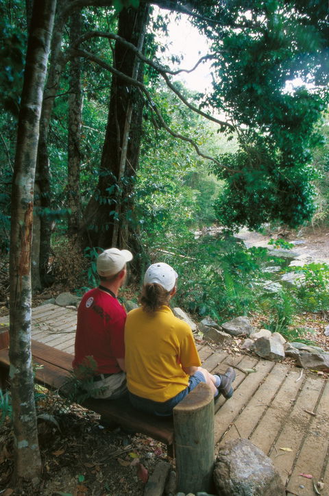 Cedar Creek Falls - Accommodation Nelson Bay 1