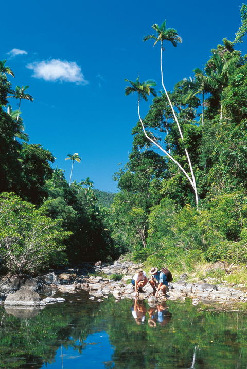 Cedar Creek Falls - Accommodation Nelson Bay 2
