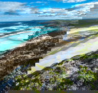 Conspicuous Cliff - Accommodation Nelson Bay