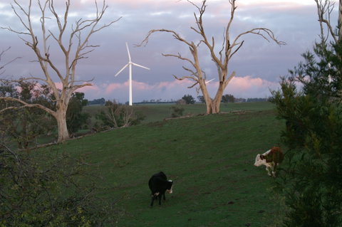 Crookwell Wind Farm - Accommodation Nelson Bay 1