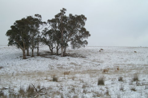 Crookwell Wind Farm - Accommodation Nelson Bay 2