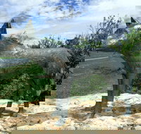 Dingo Statue - Accommodation Nelson Bay