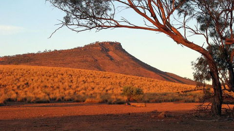 Dutchman Stern Conservation Park Trail - Accommodation Nelson Bay 0