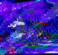 Glowing Rooms 3D Mini Golf - Accommodation Nelson Bay
