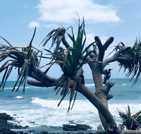 Hastings Point Beach - Accommodation Nelson Bay