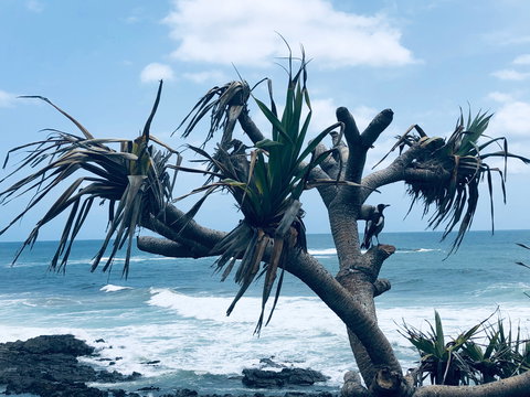 Hastings Point Beach - Accommodation Nelson Bay 0