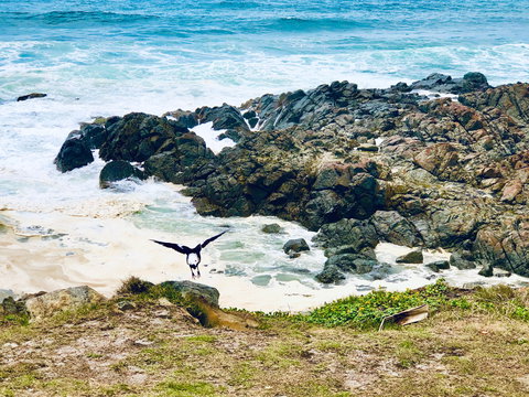 Hastings Point Beach - Accommodation Nelson Bay 2