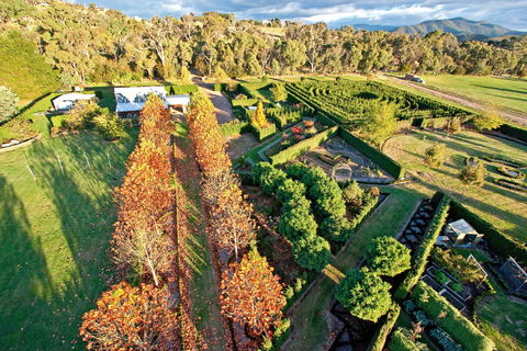 High Country Maze - Accommodation Nelson Bay 1