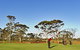 Kalgoorlie Golf Course - thumb 2