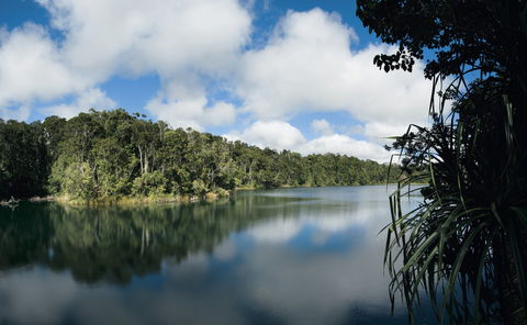 Lake Eacham, Crater Lakes National Park - Accommodation Nelson Bay 0