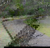 Leschenault Peninsula Conservation Park