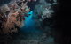 Luncheon Bay Dive Site - thumb 2