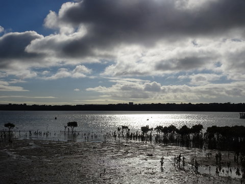 Marine Parade (Hastings Foreshore Reserve) Circuit - Cycling - Accommodation Nelson Bay 0