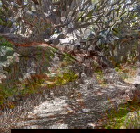 Middle Lagoon Walking Track