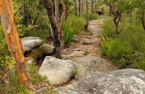Mount Olive Trail - Accommodation Nelson Bay 0