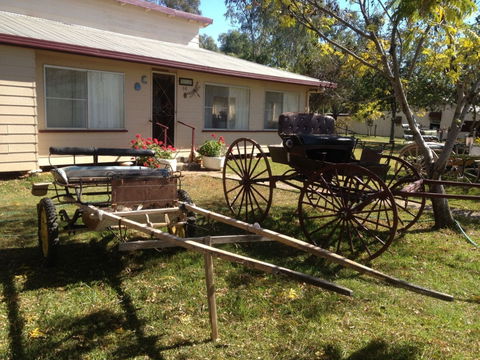 Mr And Mrs Behan Sulky Display - Accommodation Nelson Bay 0