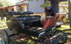 Mr And Mrs Behan Sulky Display - thumb 1