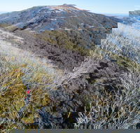 Mt Buller Bike Park - Accommodation Nelson Bay