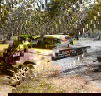 Murray Valley Regional Park - Accommodation Nelson Bay