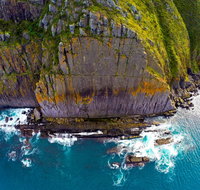 Newland Head Conservation Park - Accommodation Nelson Bay