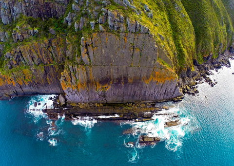 Newland Head Conservation Park - Accommodation Nelson Bay 0