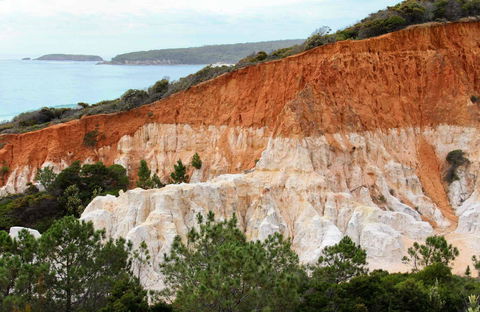 Pinnacles Loop Walking Track - Accommodation Nelson Bay 0