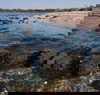 Point Cook Marine Sanctuary - Accommodation Nelson Bay