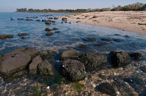 Point Cook Marine Sanctuary - Accommodation Nelson Bay 0