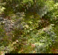 Powder Magazine walking track - Accommodation Nelson Bay