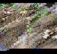 Queanbeyan Park Market - Accommodation Nelson Bay