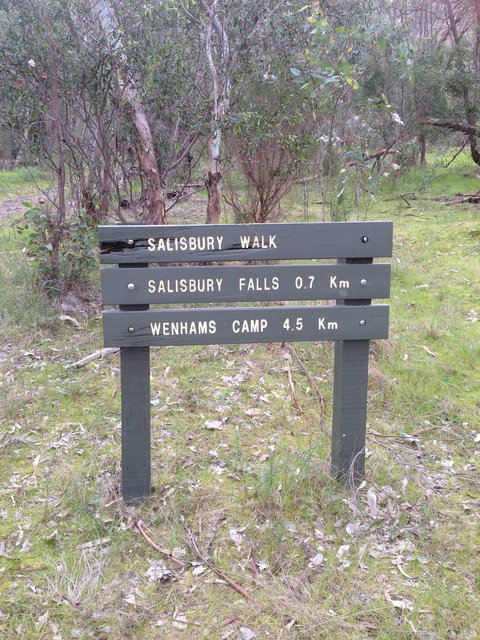 Salisbury Falls Walk - Accommodation Nelson Bay 0