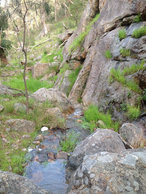 Salisbury Falls Walk - Accommodation Nelson Bay 2