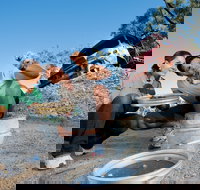 Sapphire - Accommodation Nelson Bay