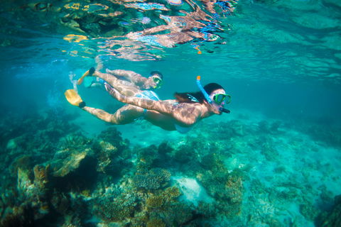 Snorkel The Ningaloo Reef - Accommodation Nelson Bay 1