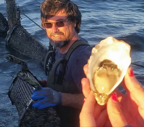 Southern Yorke Oysters - Accommodation Nelson Bay 0