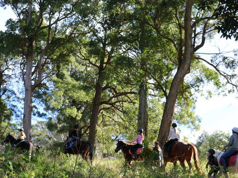The Outlook Riding Academy - Accommodation Nelson Bay 0